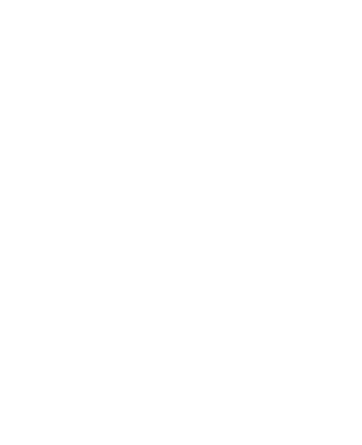 sTeTo music Logo